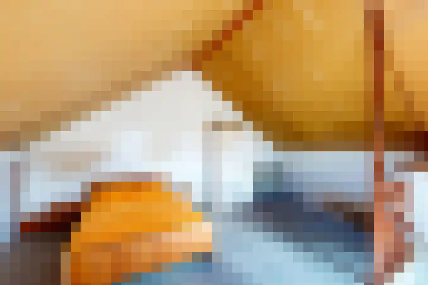 Nijland 9 Beilen thumbnail 31