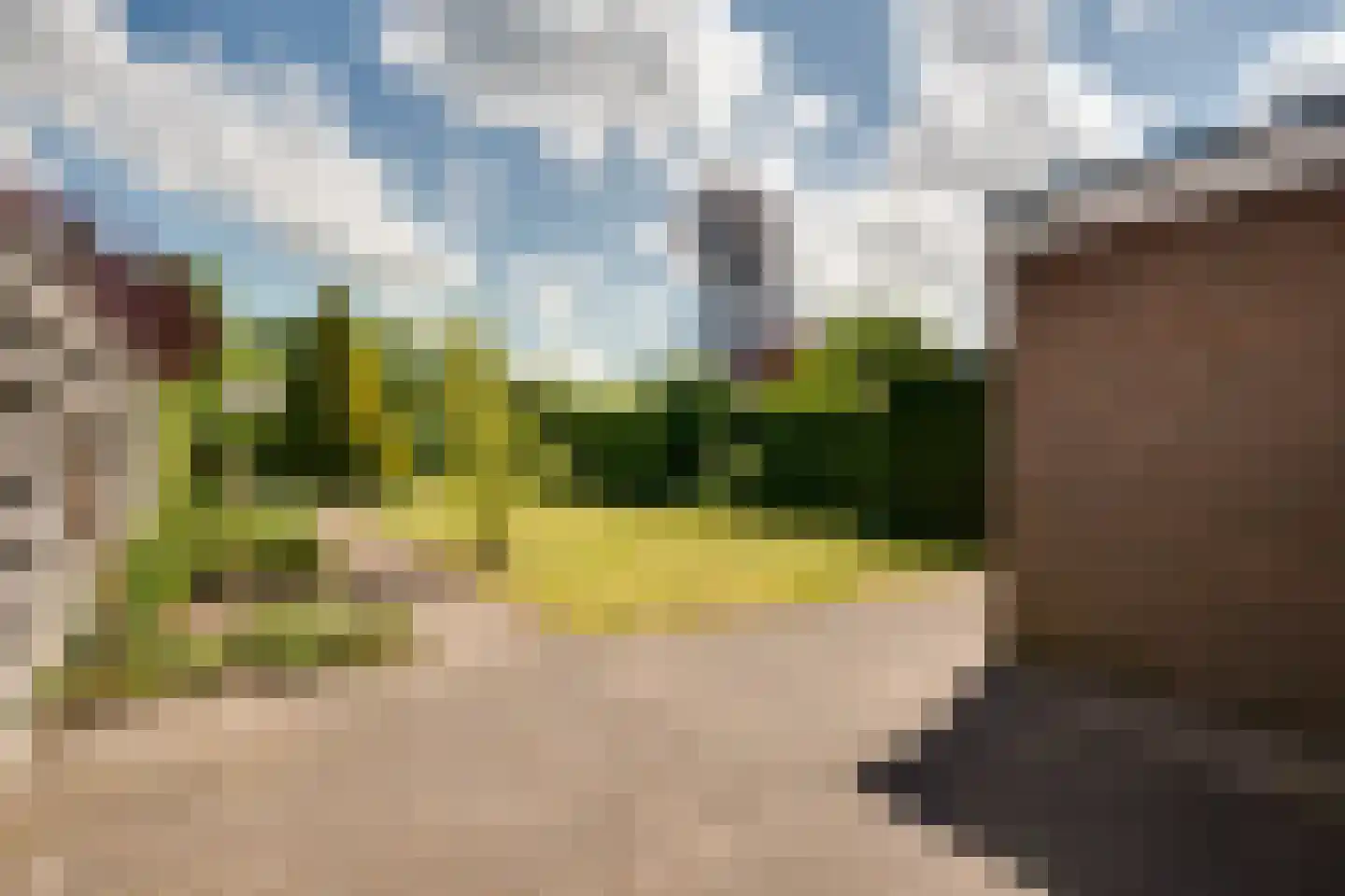 Nijland 9 Beilen thumbnail 33