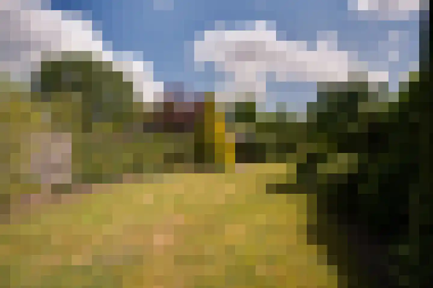 Nijland 9 Beilen thumbnail 36