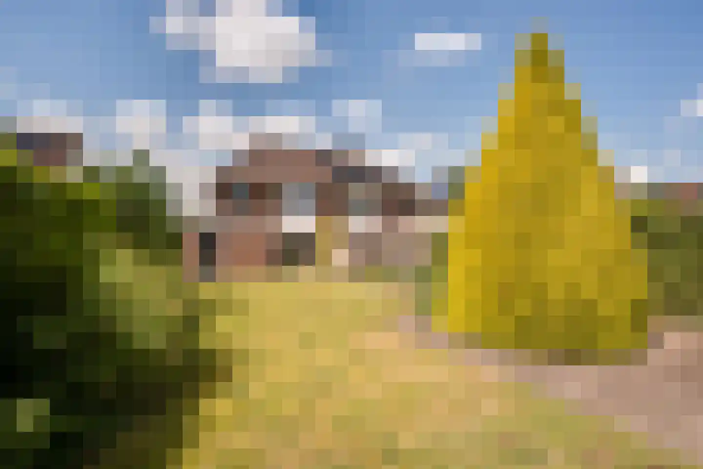 Nijland 9 Beilen thumbnail 38