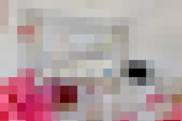 Nijlanderhemstraat 5 Sneek thumbnail 5