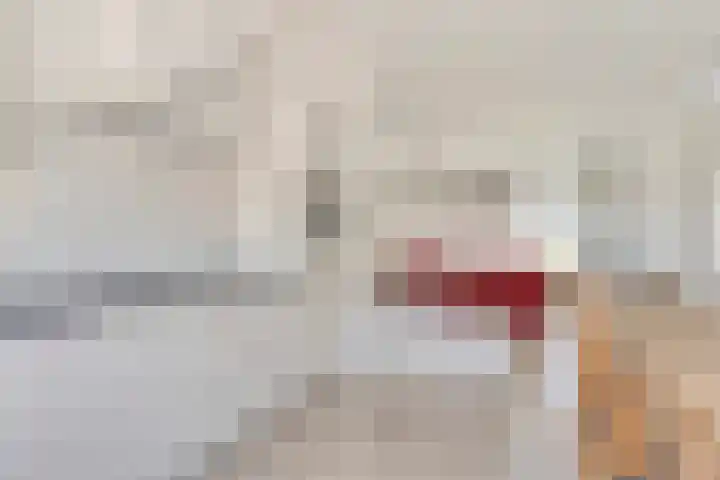 Nijlanderhemstraat 5 Sneek thumbnail 7
