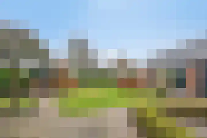 Nijlanderstraat 6 Rolde thumbnail 32