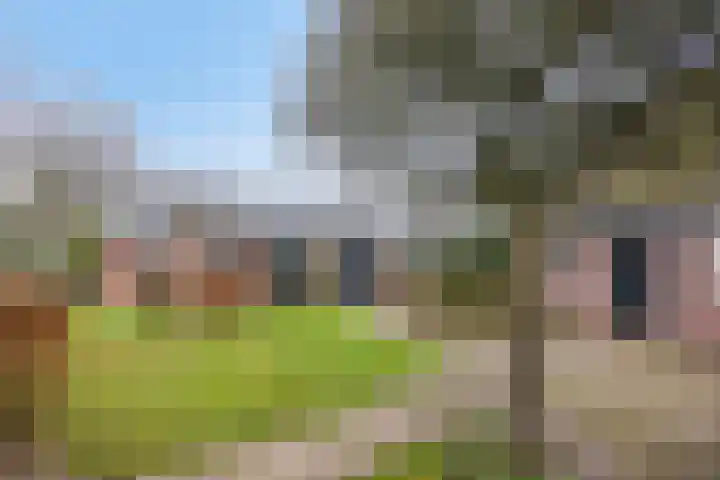 Nijlanderstraat 6 Rolde thumbnail 34