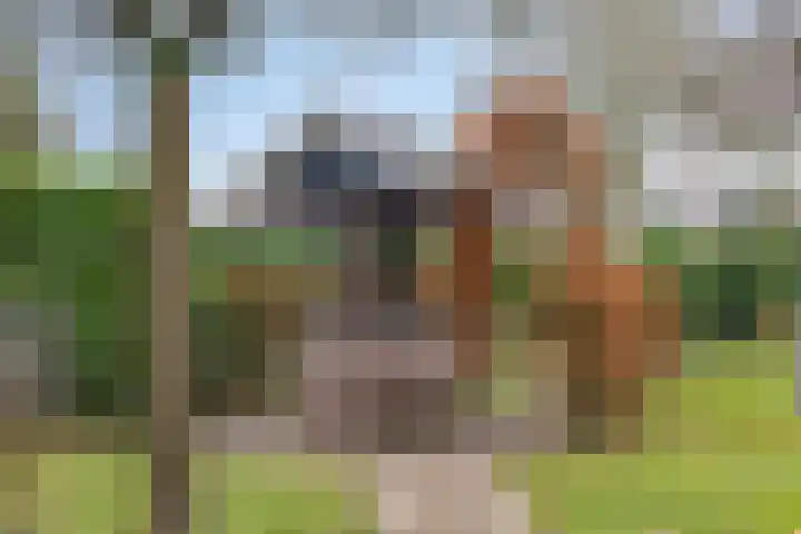 Nijlanderstraat 6 Rolde thumbnail 35