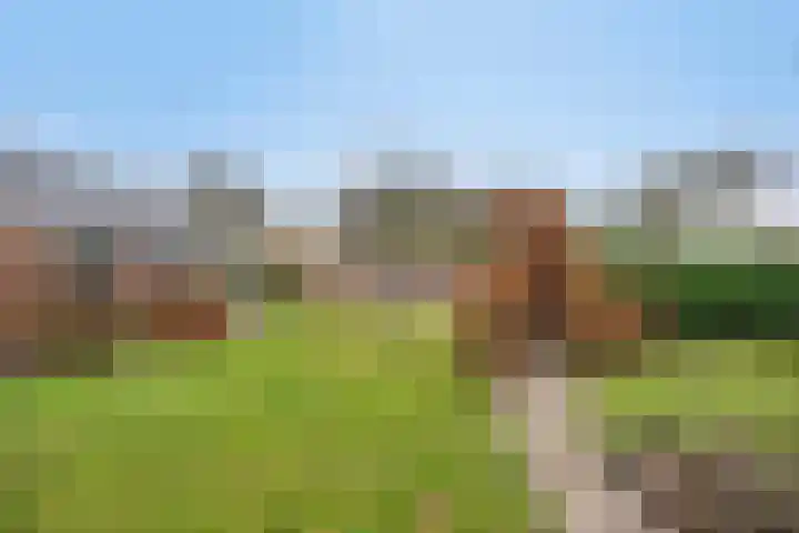 Nijlanderstraat 6 Rolde thumbnail 37