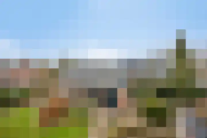 Nijlanderstraat 6 Rolde thumbnail 51
