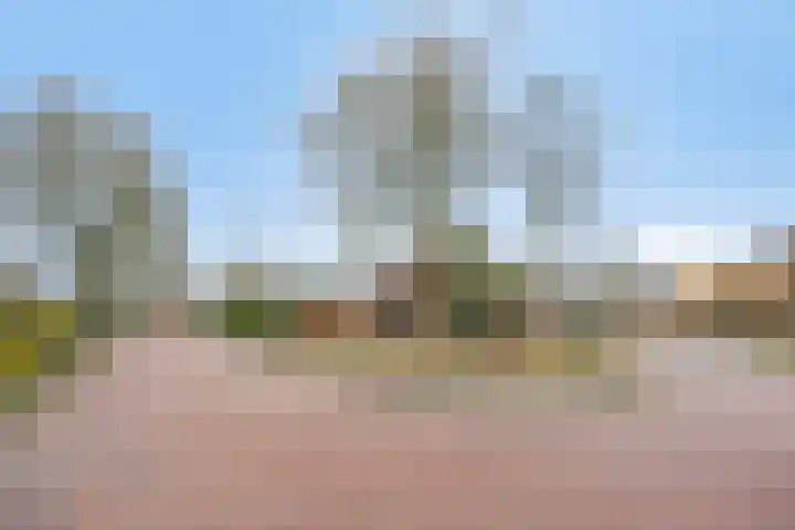 Nijlanderstraat 6 Rolde thumbnail 53