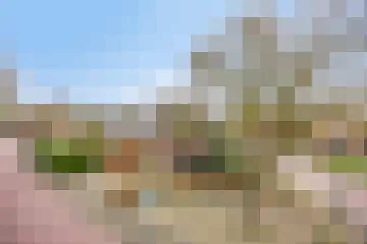 Nijlanderstraat 6 Rolde thumbnail 57
