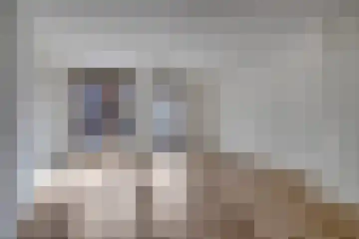Nijlandlaan 61 D Veldhoven foto 2