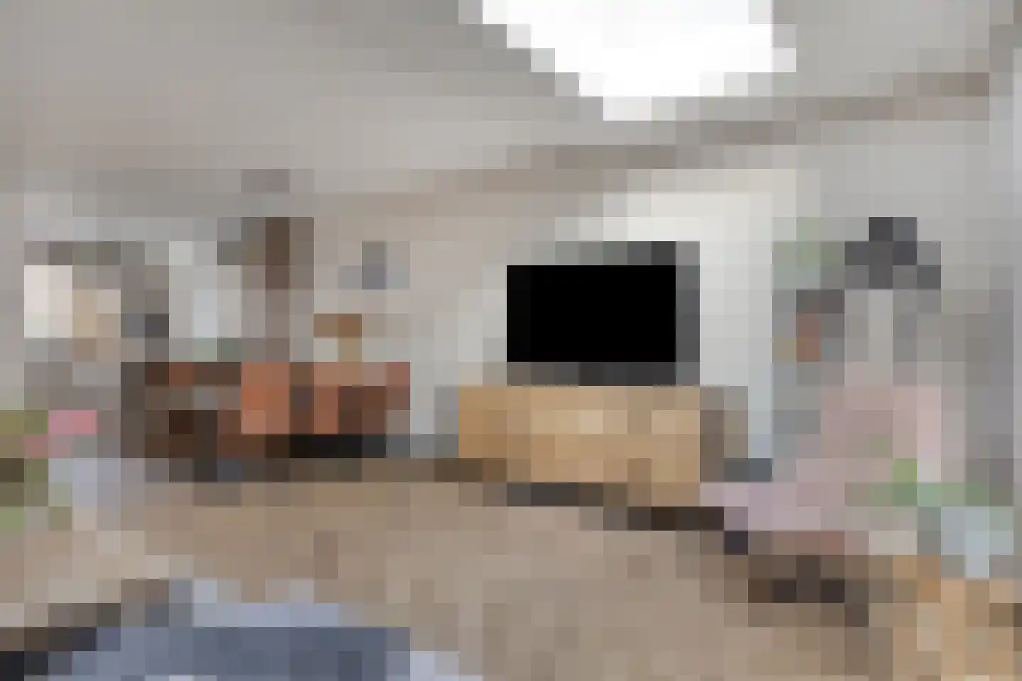 Nijlandlaan 61 Veldhoven thumbnail 10