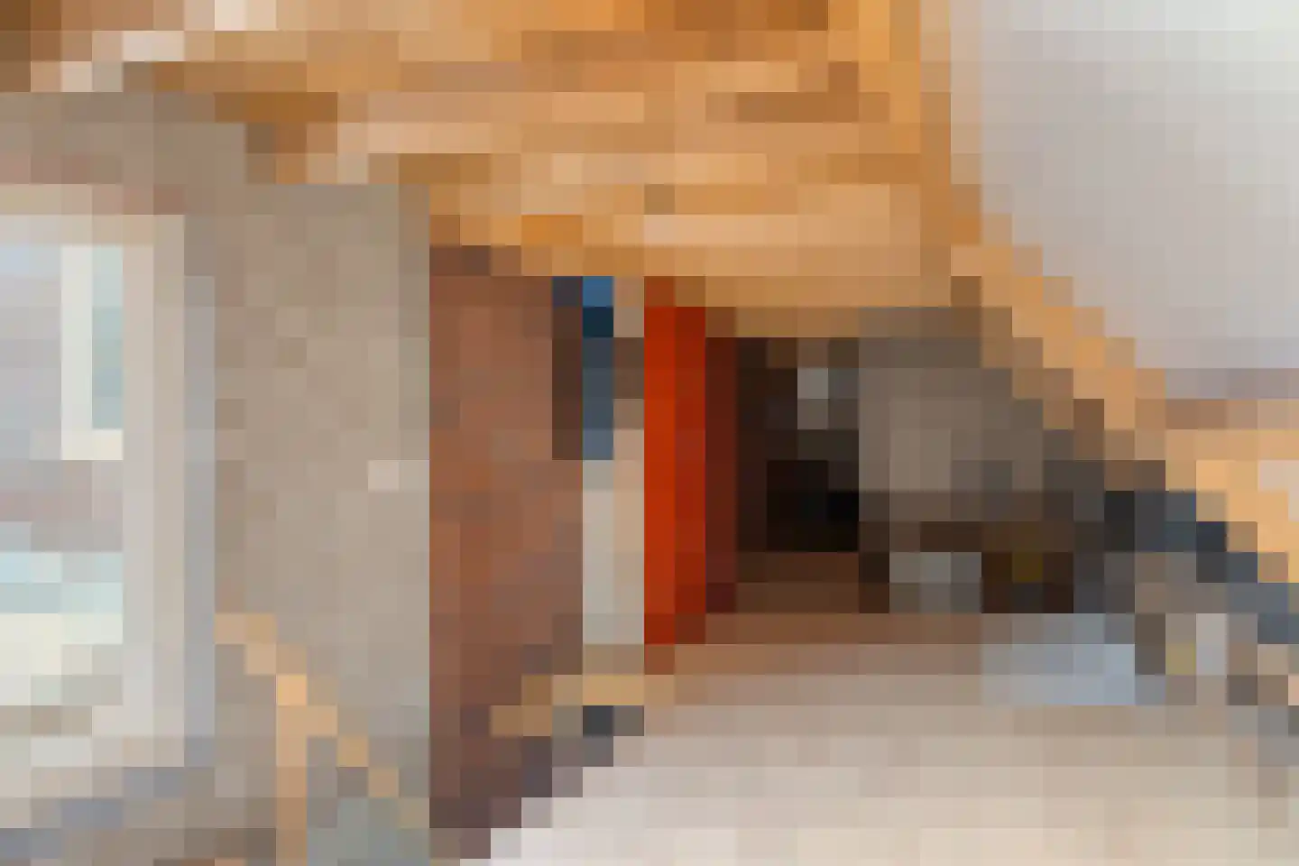Nijlandlaan 61 Veldhoven thumbnail 13