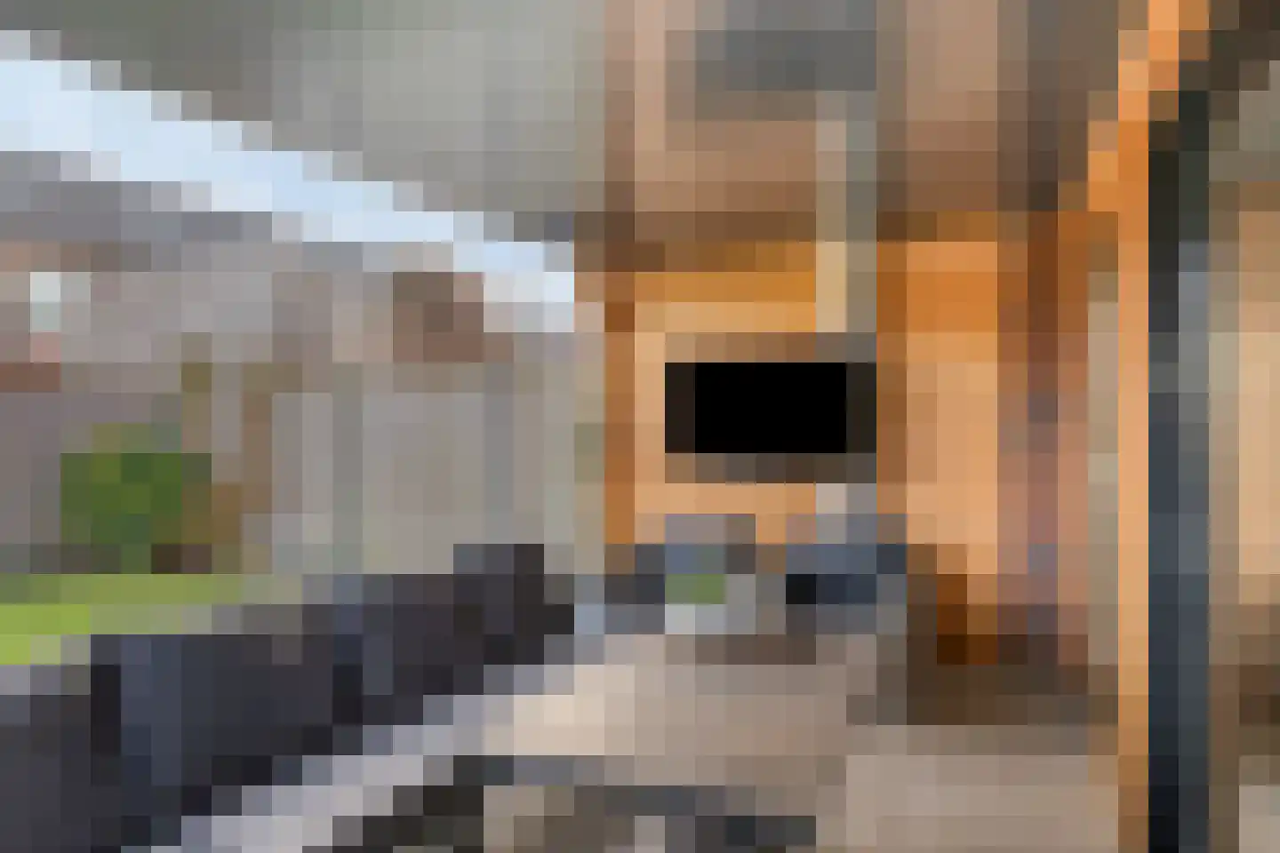 Nijlandlaan 61 Veldhoven thumbnail 26