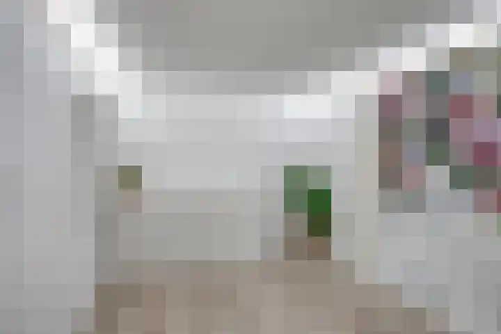 Nijlandlaan 86 Veldhoven thumbnail 32
