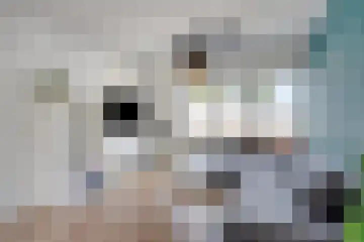 Nijlandlaan 86 Veldhoven thumbnail 7