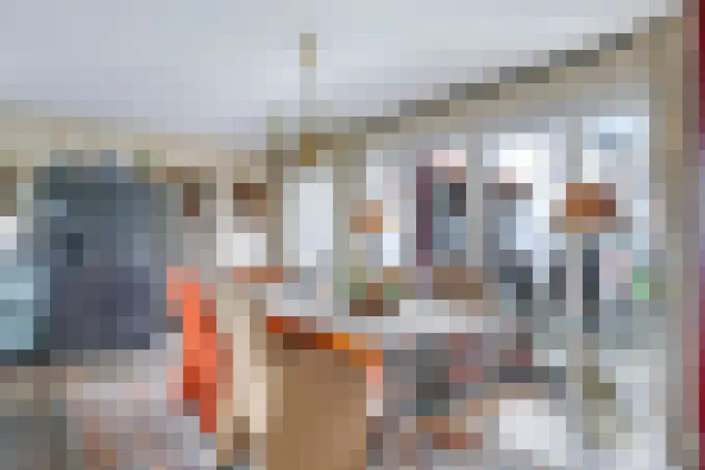 Nijlandseweg 2 Opheusden thumbnail 16