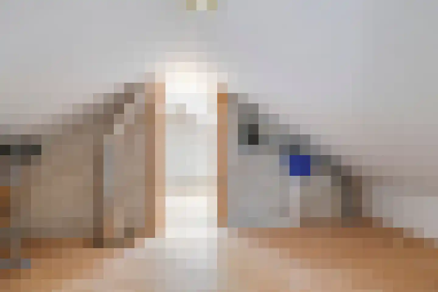 Nijlandseweg 2 Opheusden thumbnail 27