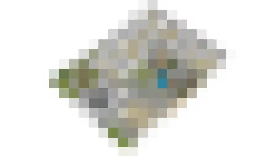 Nijlandseweg 2 Opheusden thumbnail 38