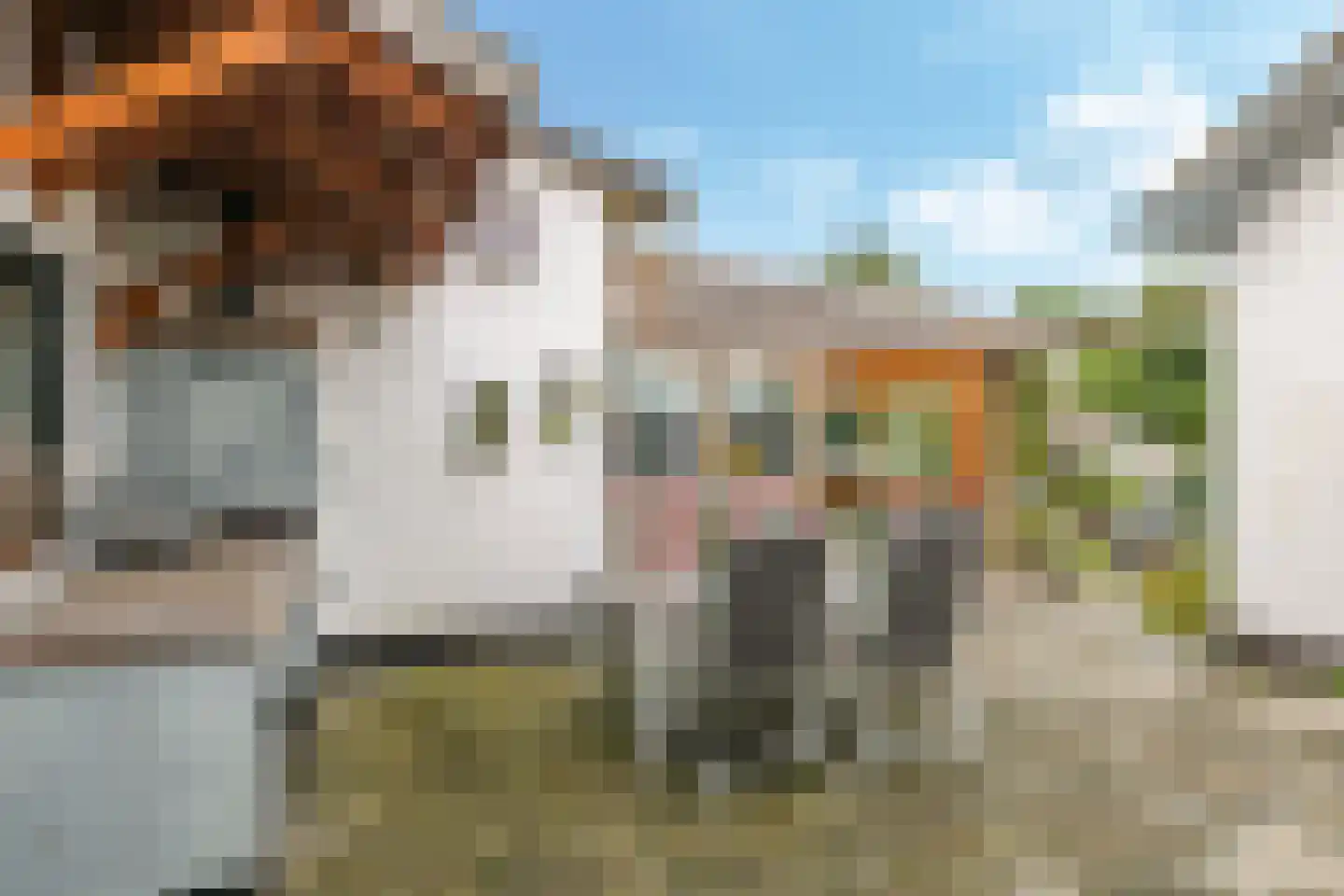 Nijlandseweg 2 Opheusden thumbnail 42