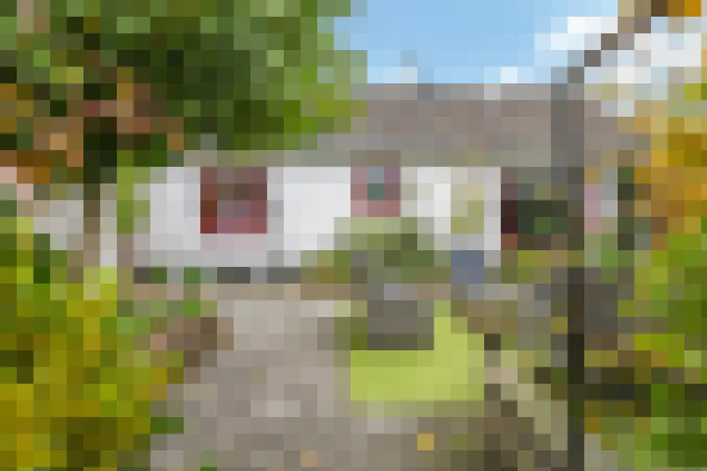 Nijlandseweg 2 Opheusden thumbnail 51