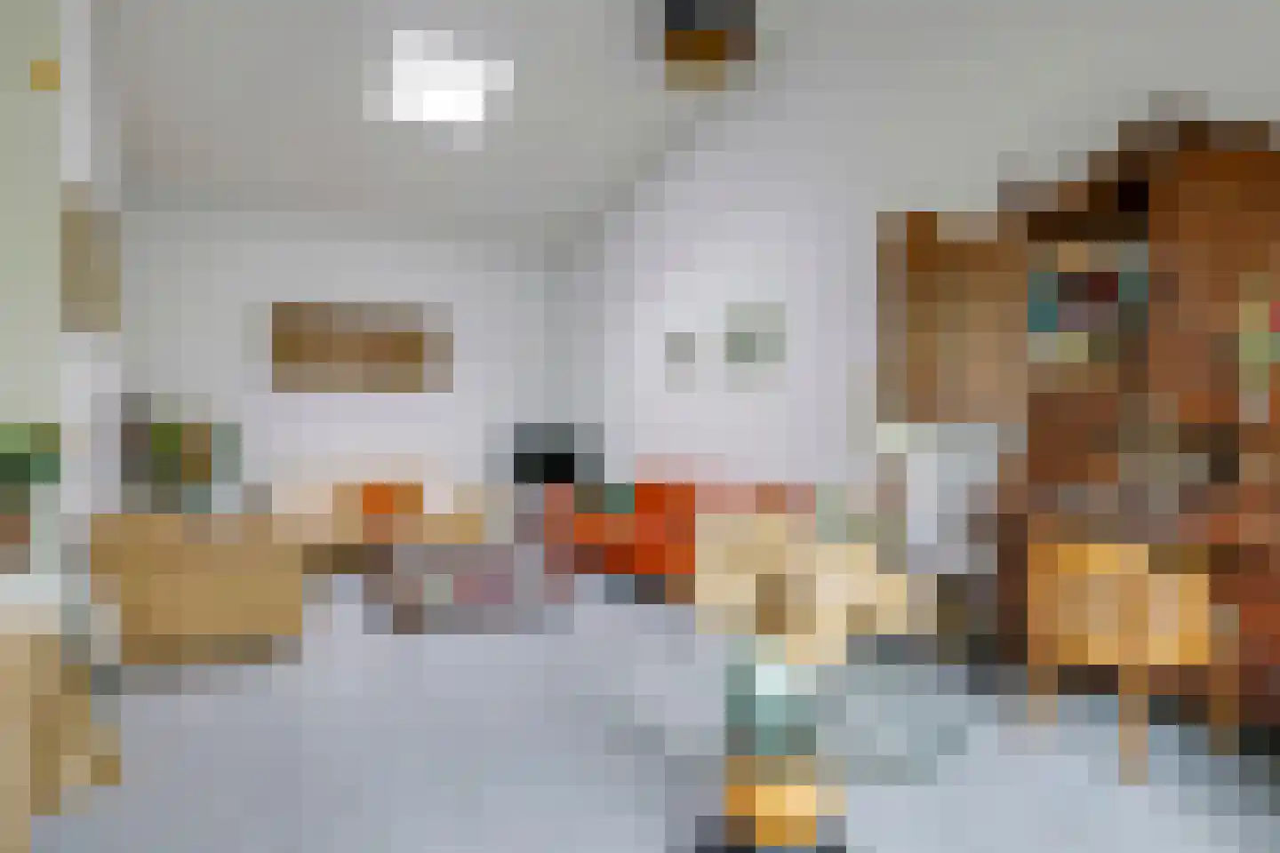 Nijlandseweg 2 Opheusden thumbnail 54