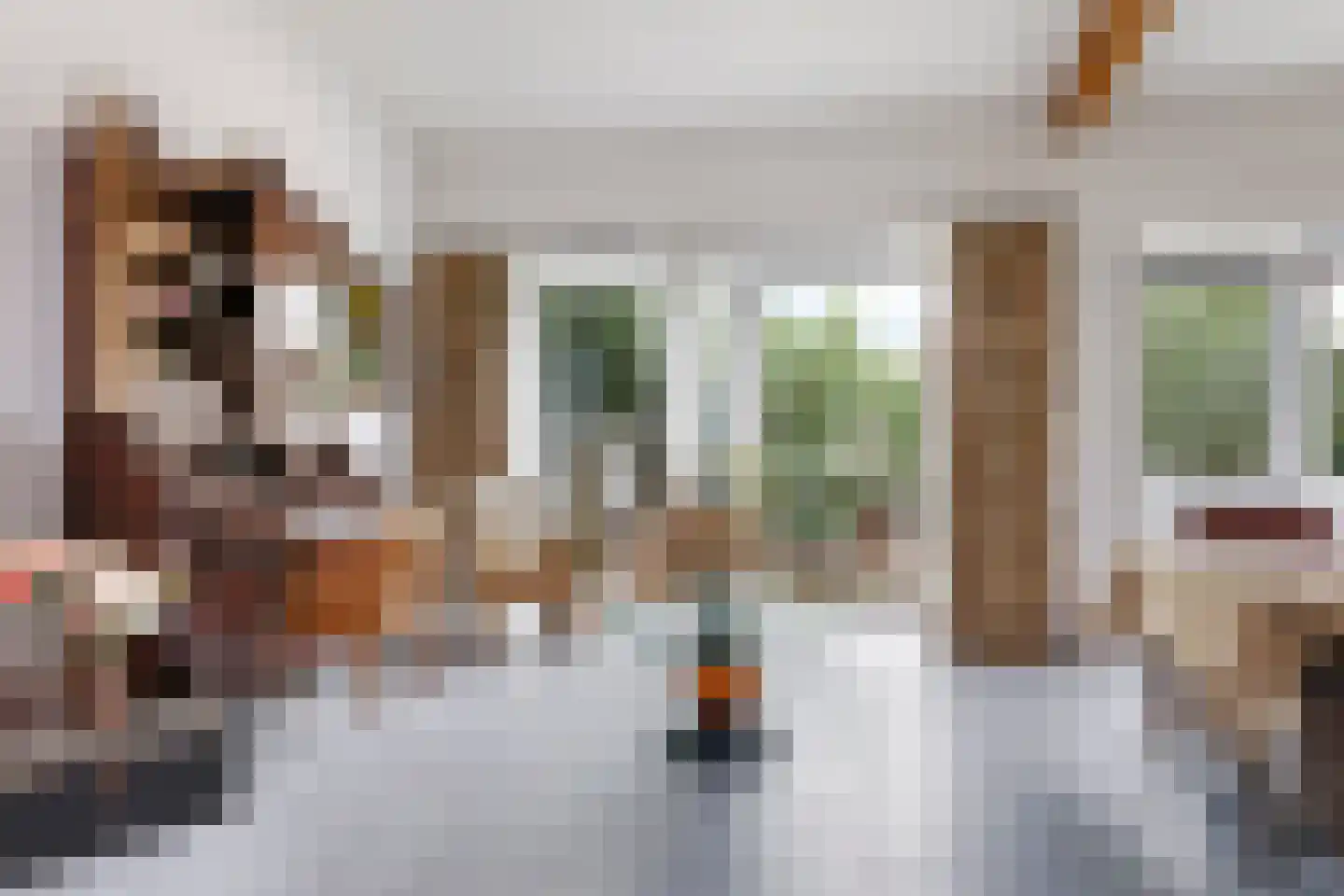 Nijlandseweg 2 Opheusden thumbnail 61