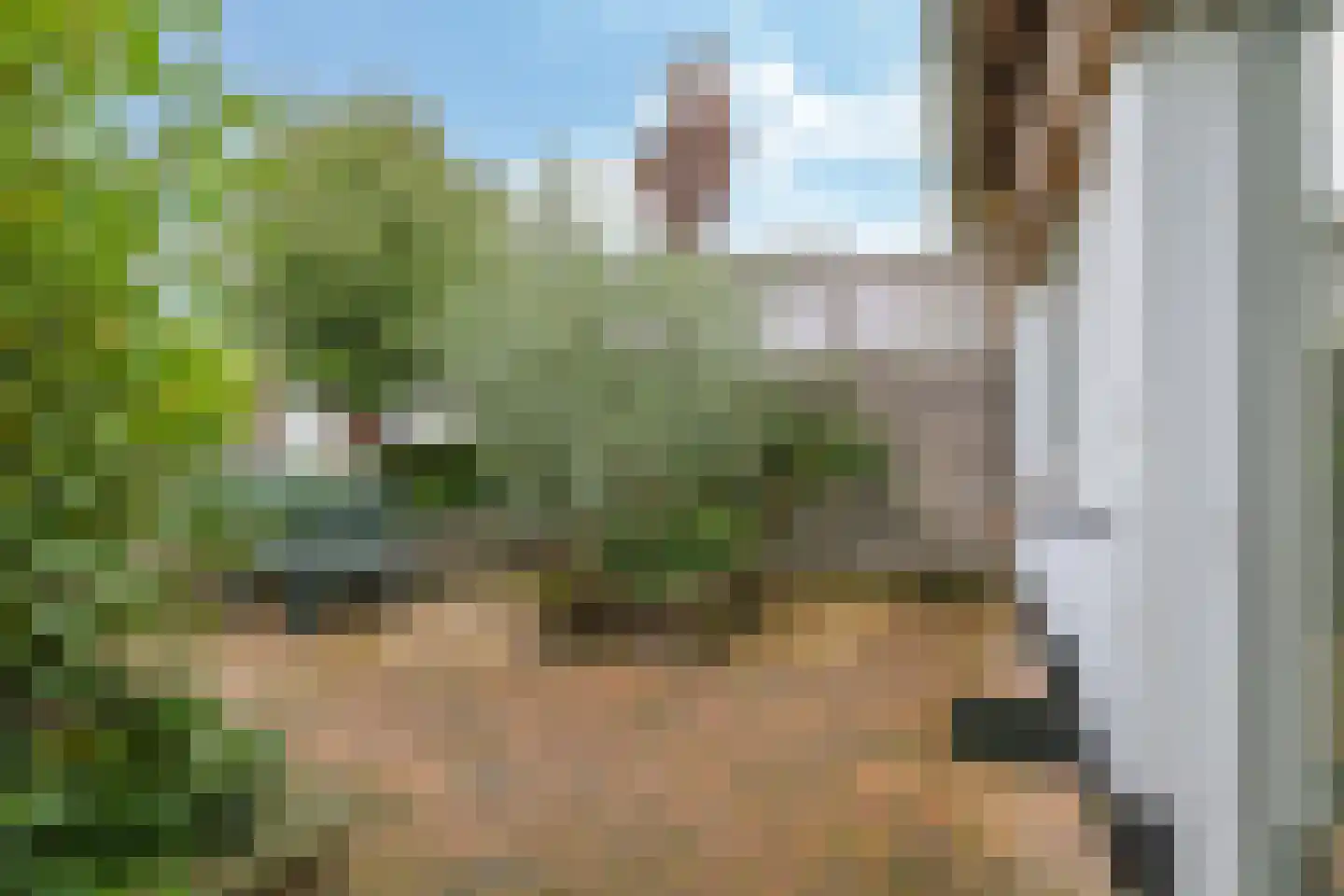 Nijlandseweg 2 Opheusden thumbnail 69