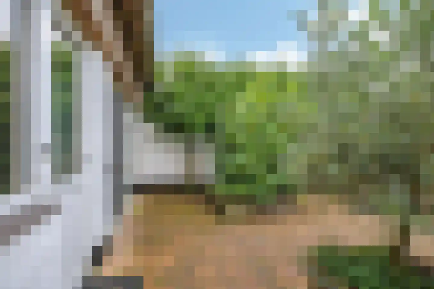 Nijlandseweg 2 Opheusden thumbnail 70