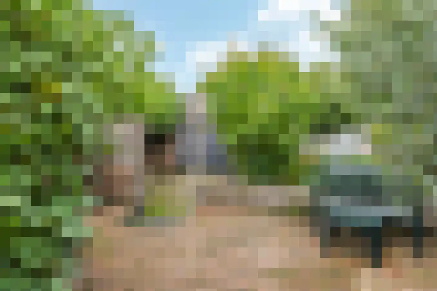 Nijlandseweg 2 Opheusden thumbnail 72
