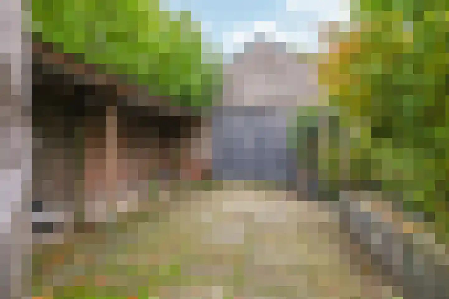 Nijlandseweg 2 Opheusden thumbnail 73