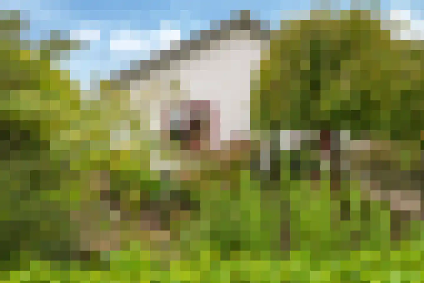 Nijlandseweg 2 Opheusden thumbnail 82