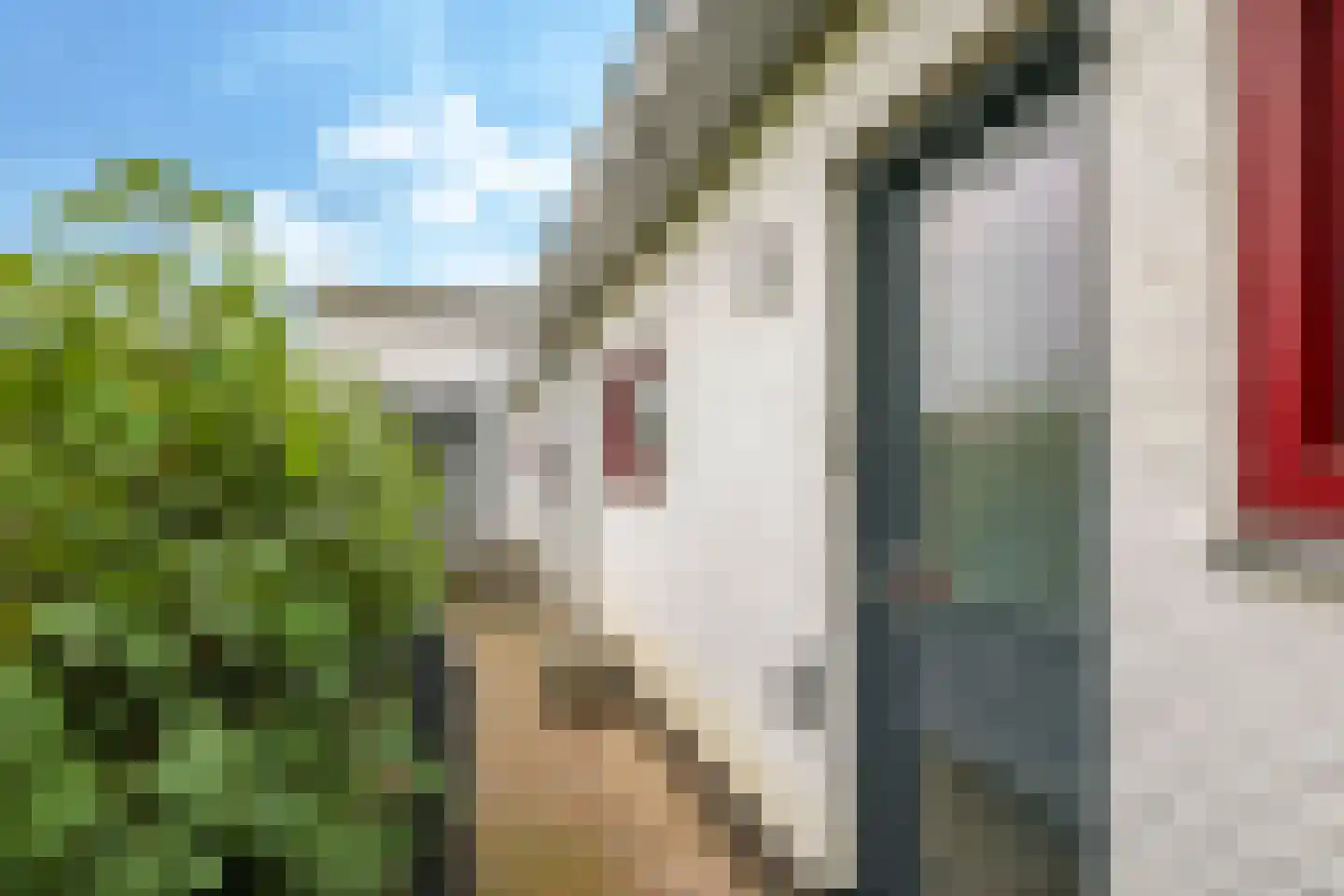 Nijlandseweg 2 Opheusden thumbnail 83
