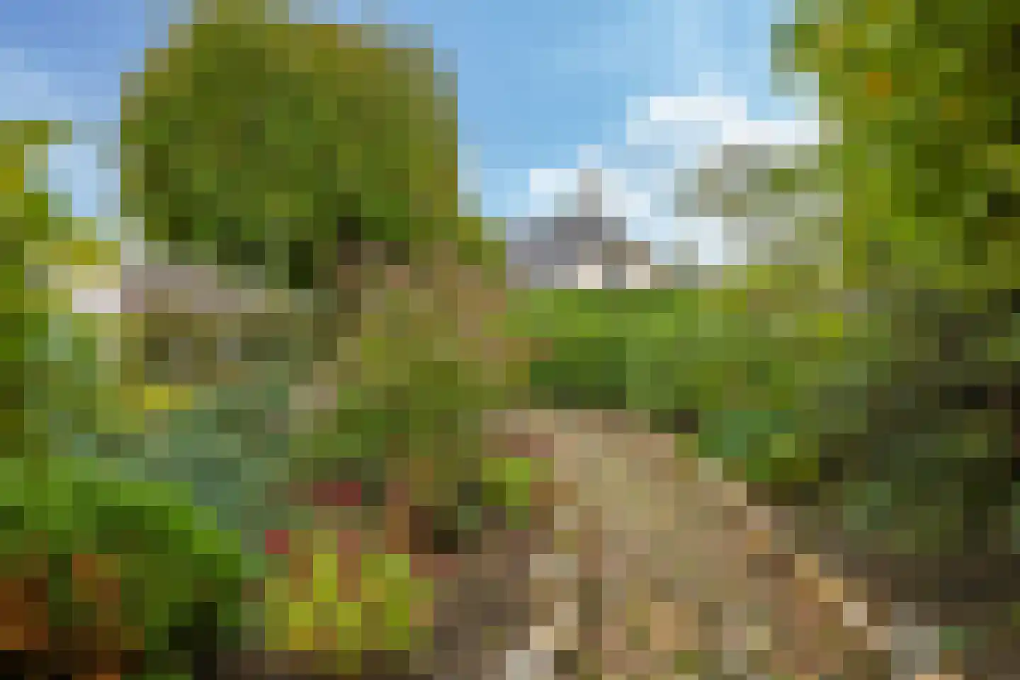 Nijlandseweg 2 Opheusden thumbnail 84