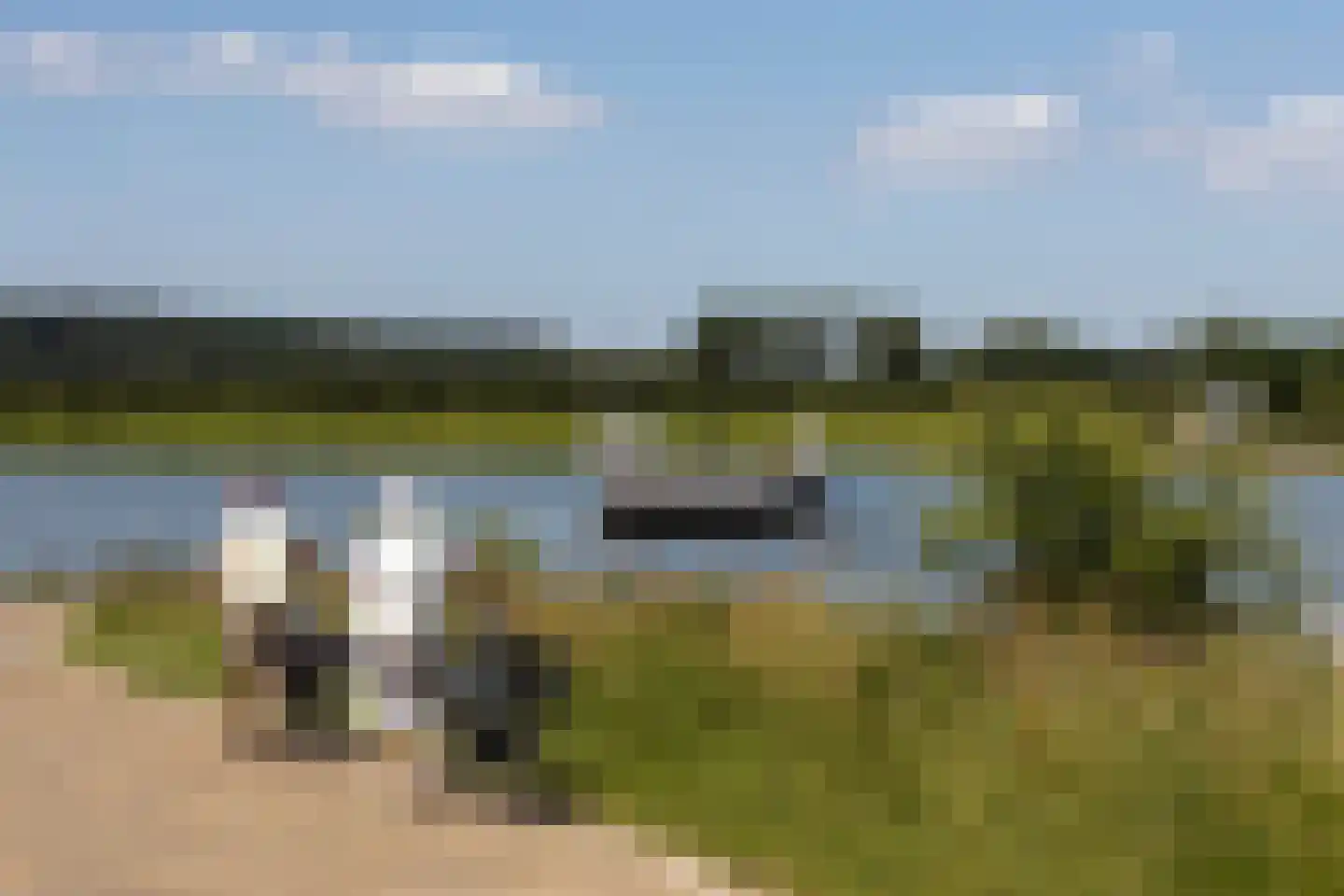 Nijlandseweg 2 Opheusden thumbnail 90