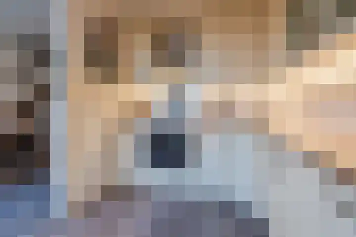 Nijlandsingel 4 Aduard thumbnail 20