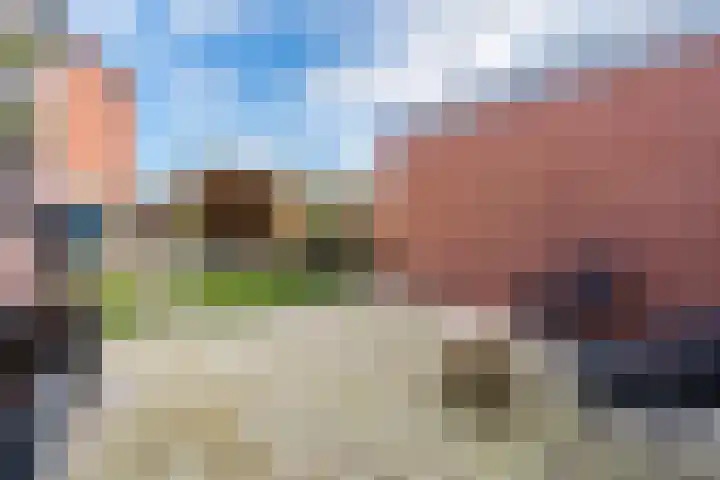 Nijlandsingel 4 Aduard thumbnail 35