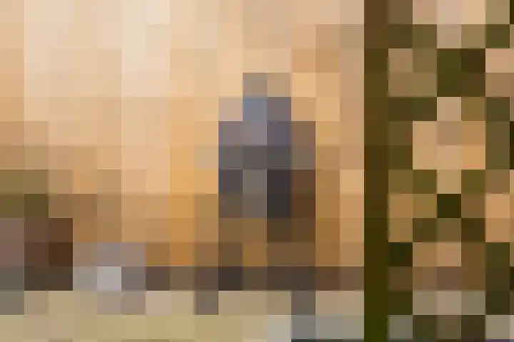 Nijlandsingel 4 Aduard thumbnail 37