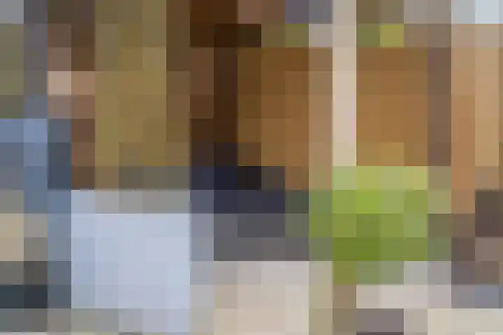 Nijlandsingel 4 Aduard thumbnail 39