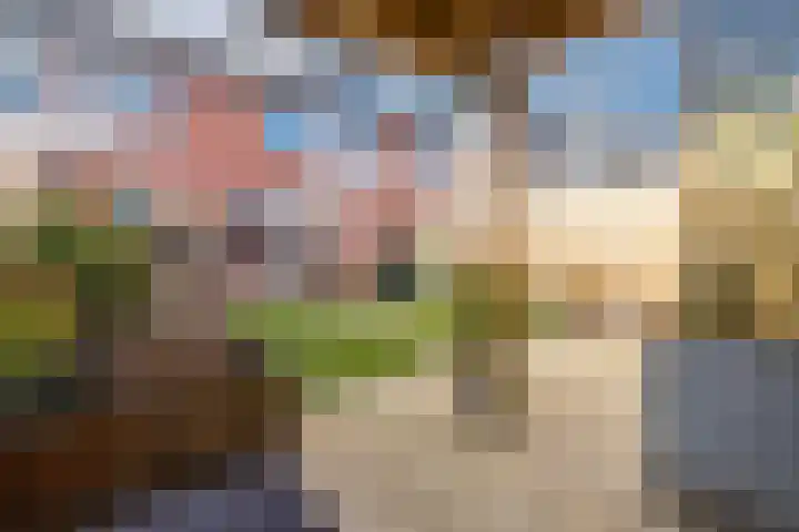 Nijlandsingel 4 Aduard thumbnail 4
