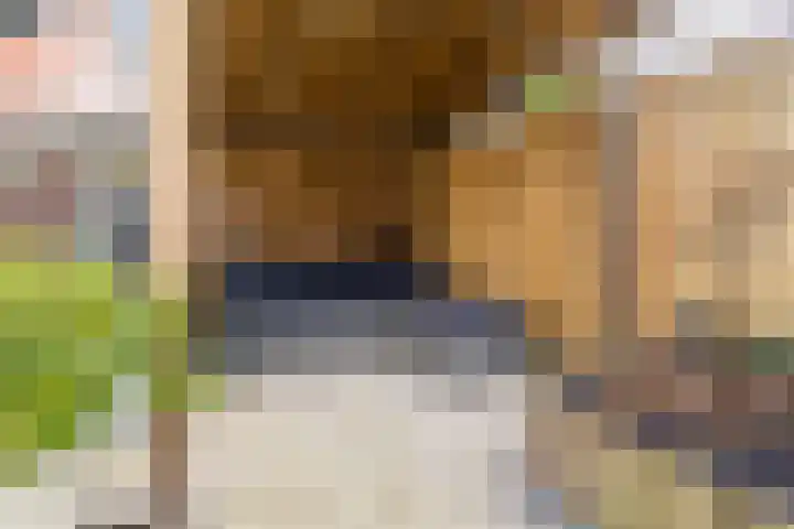Nijlandsingel 4 Aduard thumbnail 40