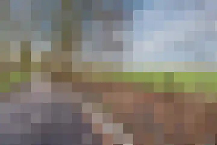 Nijlandsingel 4 Aduard thumbnail 44