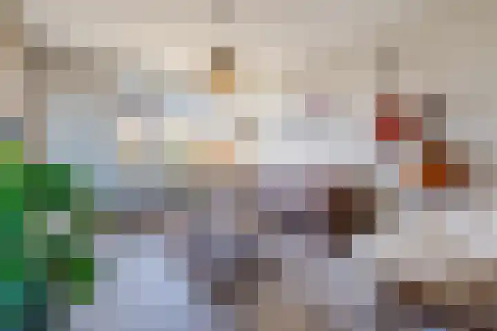 Nijlandsingel 4 Aduard thumbnail 7