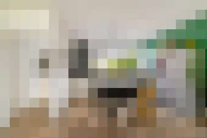 Nijlandsingel 46 Aduard thumbnail 14