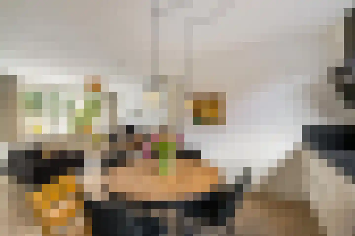 Nijlandsingel 46 Aduard thumbnail 17