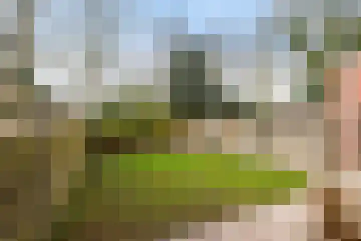 Nijlandsingel 46 Aduard thumbnail 20