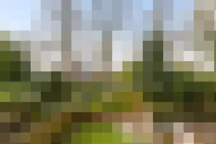 Nijlandsingel 46 Aduard thumbnail 25