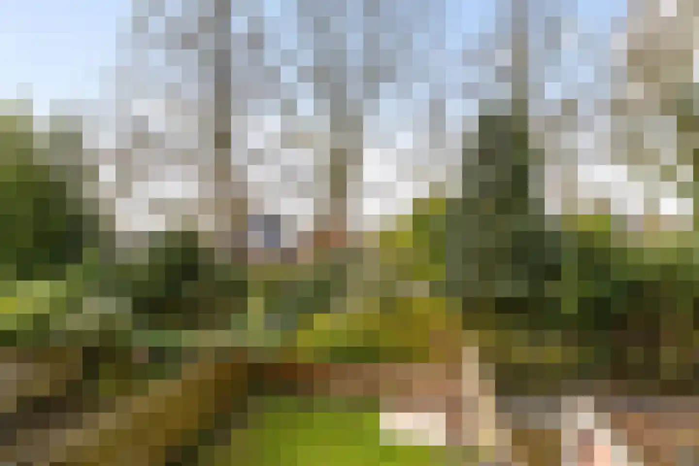 Nijlandsingel 46 Aduard thumbnail 25