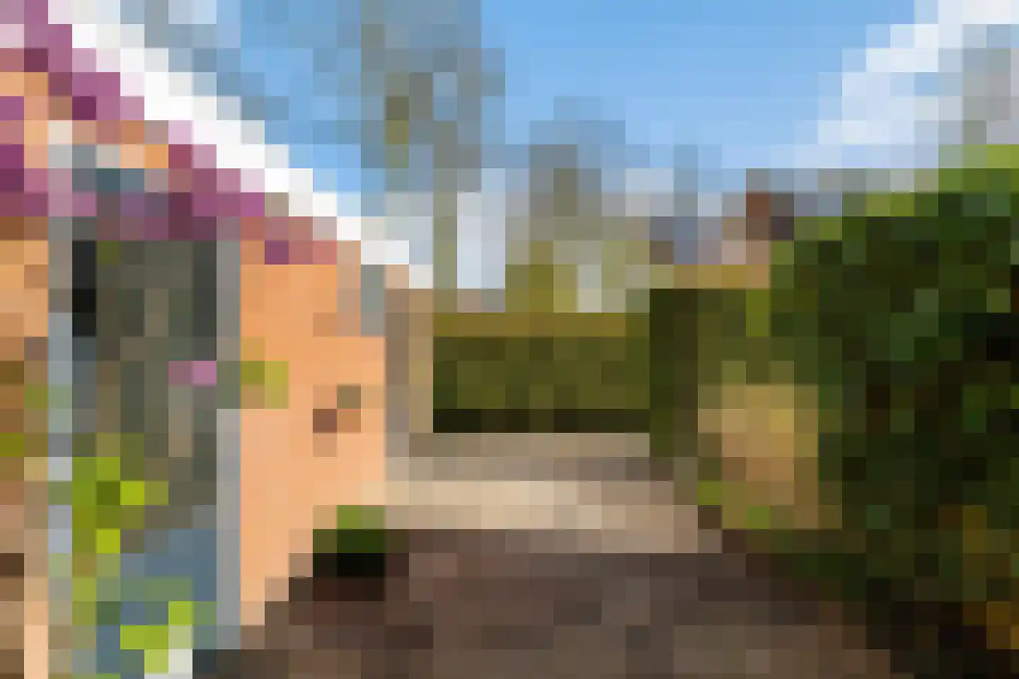 Nijlandsingel 46 Aduard thumbnail 4