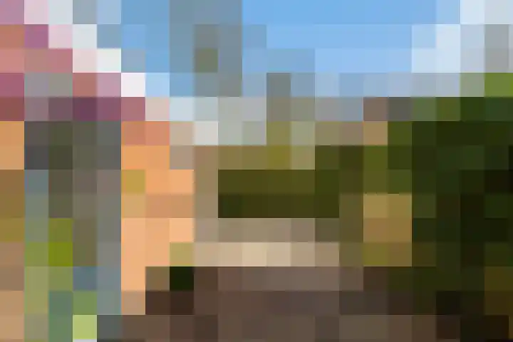 Nijlandsingel 46 Aduard thumbnail 4