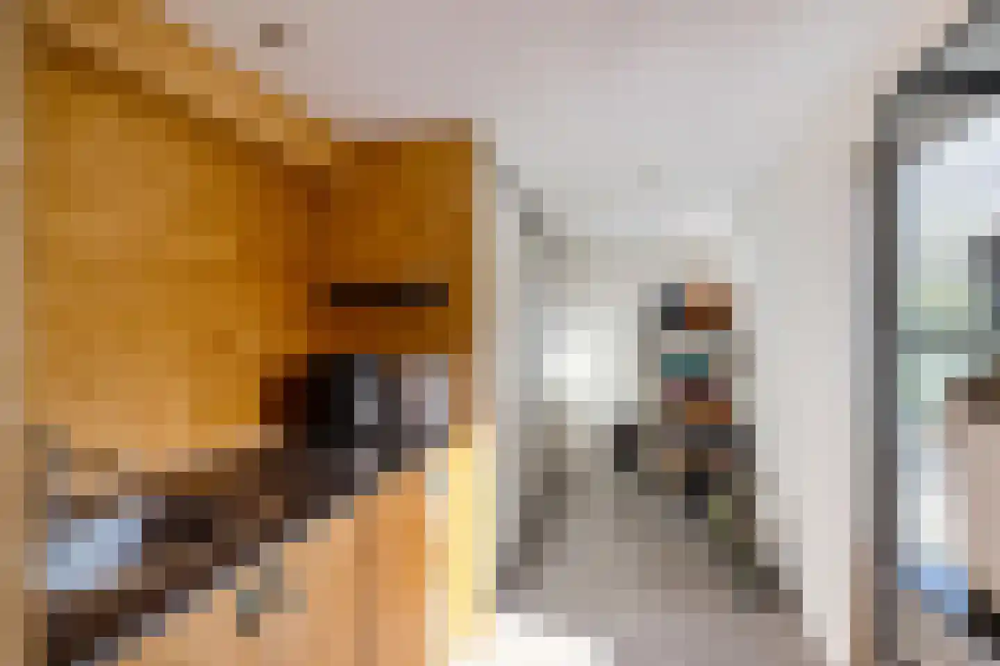 Nijlandsingel 46 Aduard thumbnail 6